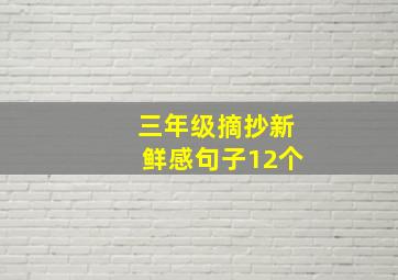 三年级摘抄新鲜感句子12个