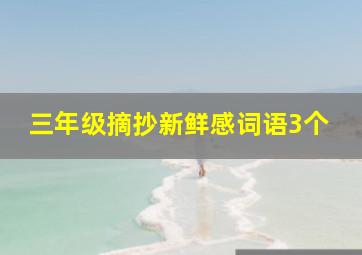 三年级摘抄新鲜感词语3个