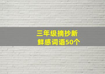 三年级摘抄新鲜感词语50个