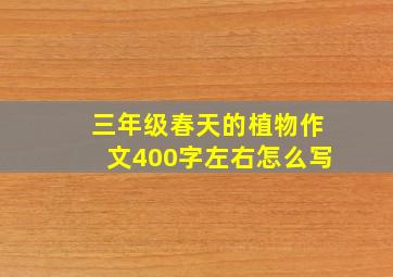 三年级春天的植物作文400字左右怎么写