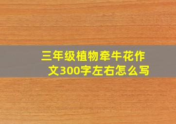 三年级植物牵牛花作文300字左右怎么写