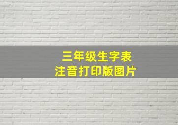 三年级生字表注音打印版图片