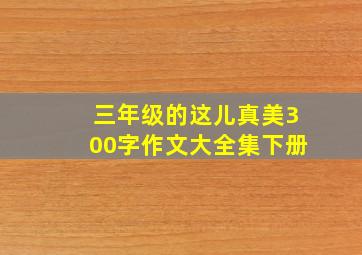 三年级的这儿真美300字作文大全集下册