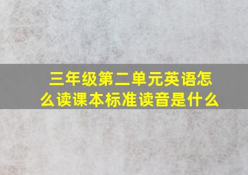 三年级第二单元英语怎么读课本标准读音是什么