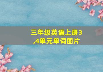 三年级英语上册3,4单元单词图片