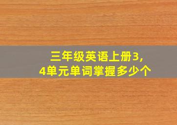 三年级英语上册3,4单元单词掌握多少个