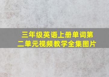 三年级英语上册单词第二单元视频教学全集图片