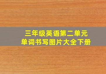 三年级英语第二单元单词书写图片大全下册