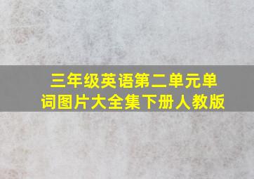 三年级英语第二单元单词图片大全集下册人教版