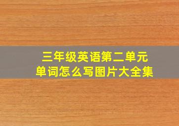 三年级英语第二单元单词怎么写图片大全集