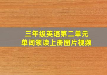 三年级英语第二单元单词领读上册图片视频