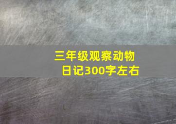 三年级观察动物日记300字左右