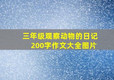 三年级观察动物的日记200字作文大全图片