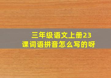 三年级语文上册23课词语拼音怎么写的呀