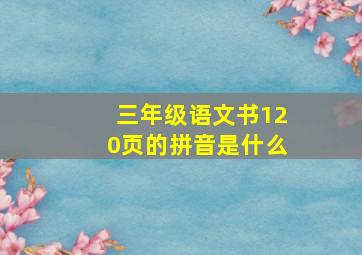 三年级语文书120页的拼音是什么