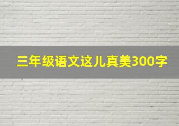 三年级语文这儿真美300字