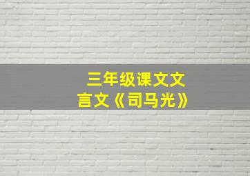 三年级课文文言文《司马光》