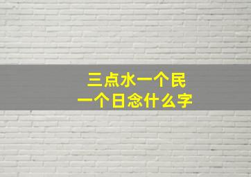 三点水一个民一个日念什么字