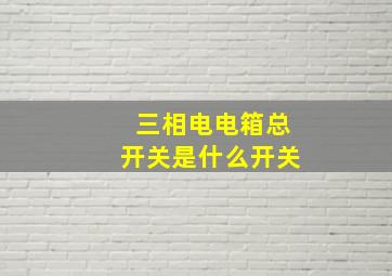 三相电电箱总开关是什么开关