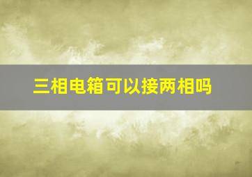 三相电箱可以接两相吗