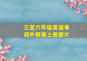 三至六年级英语单词外研版上册图片