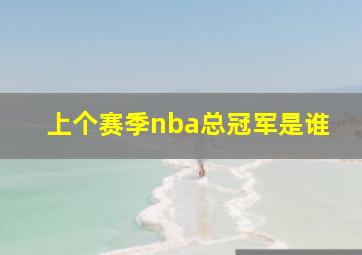 上个赛季nba总冠军是谁