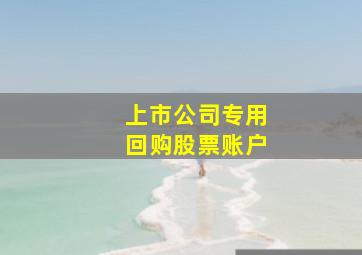 上市公司专用回购股票账户