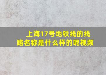 上海17号地铁线的线路名称是什么样的呢视频