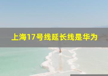 上海17号线延长线是华为