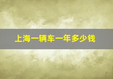 上海一辆车一年多少钱