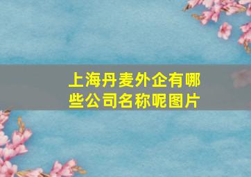 上海丹麦外企有哪些公司名称呢图片