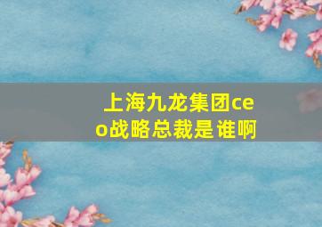 上海九龙集团ceo战略总裁是谁啊