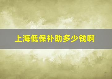 上海低保补助多少钱啊