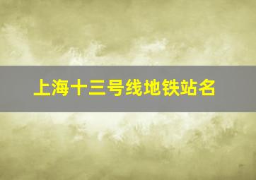 上海十三号线地铁站名