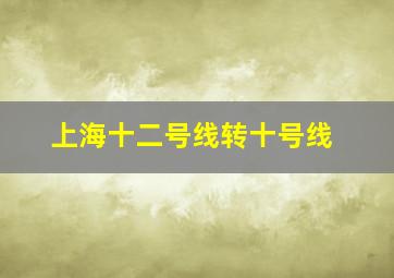 上海十二号线转十号线