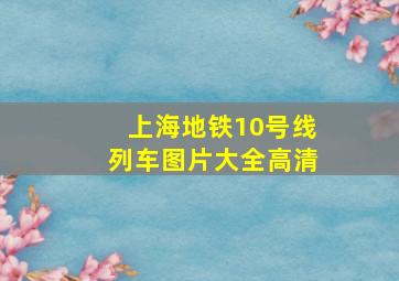 上海地铁10号线列车图片大全高清