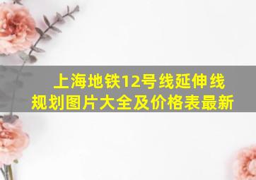 上海地铁12号线延伸线规划图片大全及价格表最新