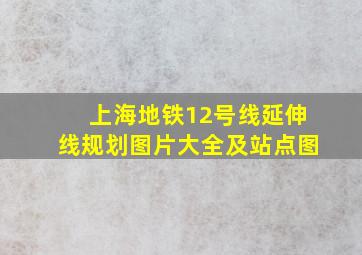 上海地铁12号线延伸线规划图片大全及站点图