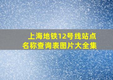 上海地铁12号线站点名称查询表图片大全集