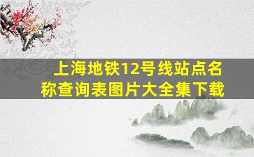 上海地铁12号线站点名称查询表图片大全集下载