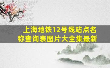 上海地铁12号线站点名称查询表图片大全集最新