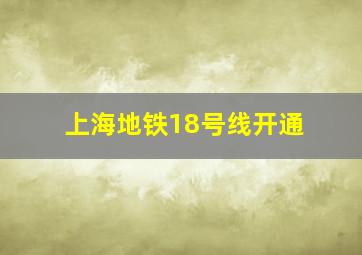 上海地铁18号线开通