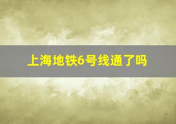 上海地铁6号线通了吗