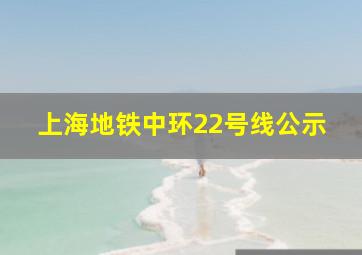 上海地铁中环22号线公示