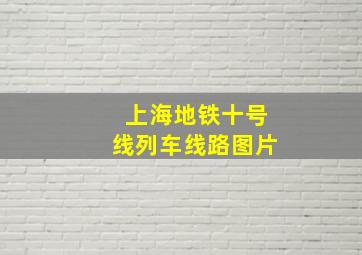 上海地铁十号线列车线路图片