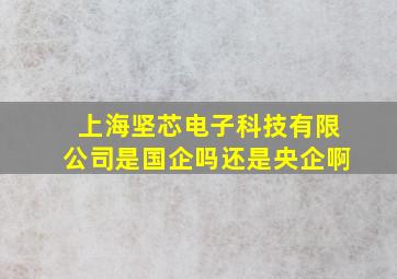 上海坚芯电子科技有限公司是国企吗还是央企啊