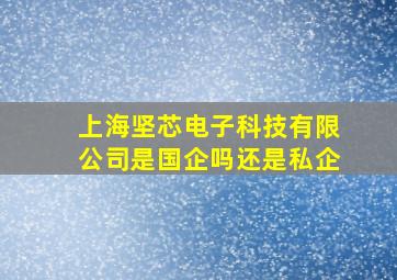 上海坚芯电子科技有限公司是国企吗还是私企