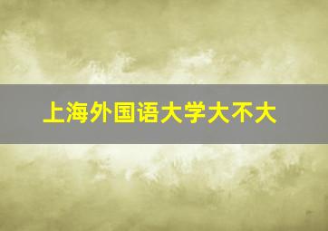 上海外国语大学大不大