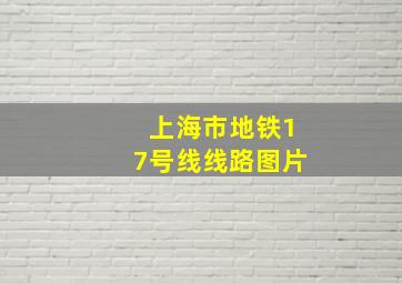 上海市地铁17号线线路图片