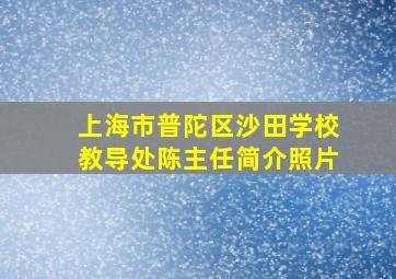 上海市普陀区沙田学校教导处陈主任简介照片